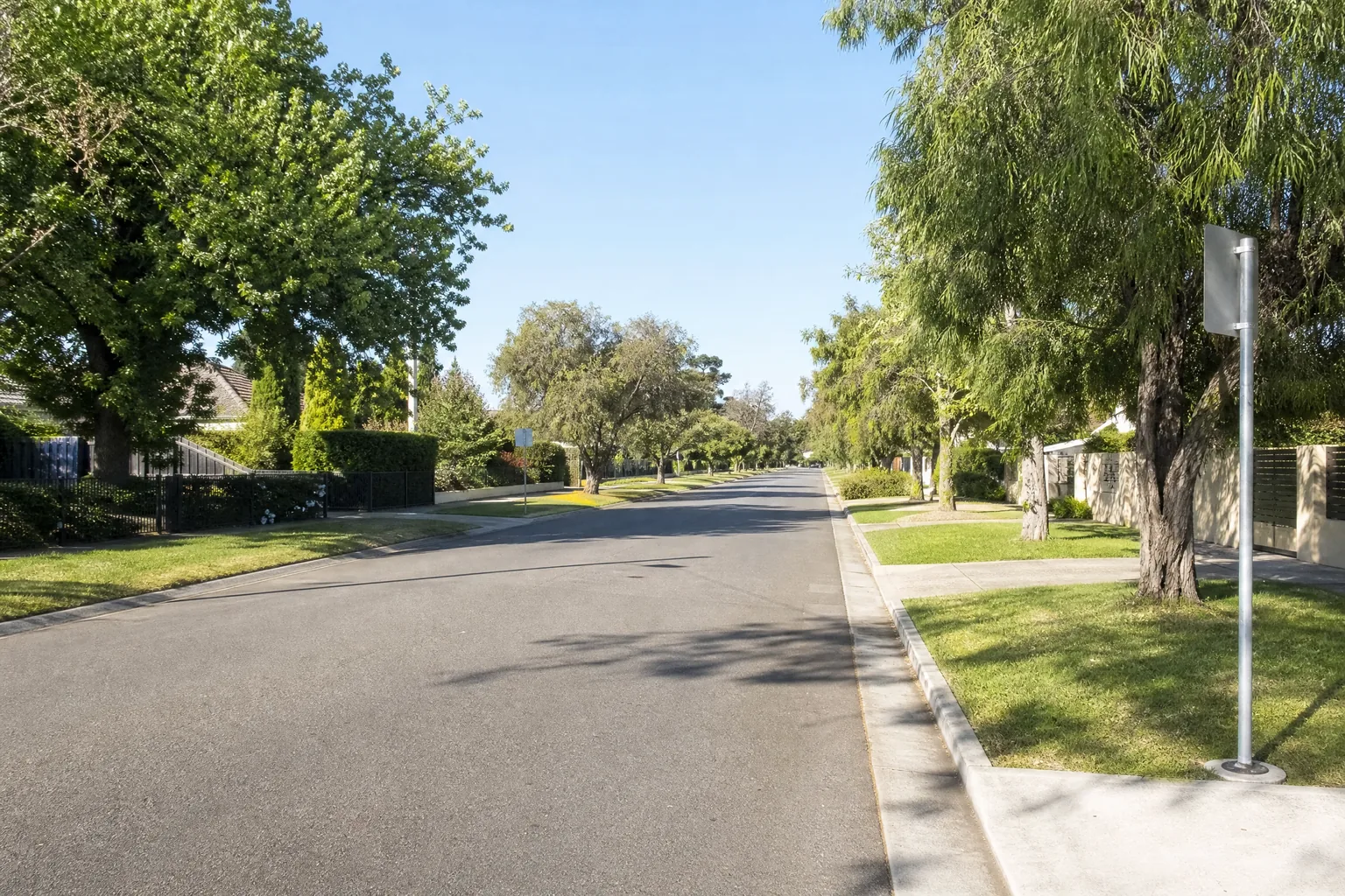 A quiet tree-lined residential street in bright morning daylight.